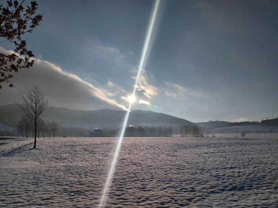 Haus Julia Direkt Am Hennesee Mitten Im Sauerland Meschede Exteriör bild