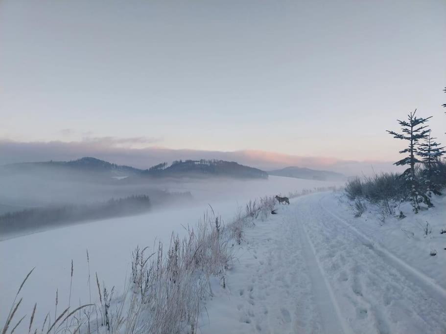 Haus Julia Direkt Am Hennesee Mitten Im Sauerland Meschede Exteriör bild
