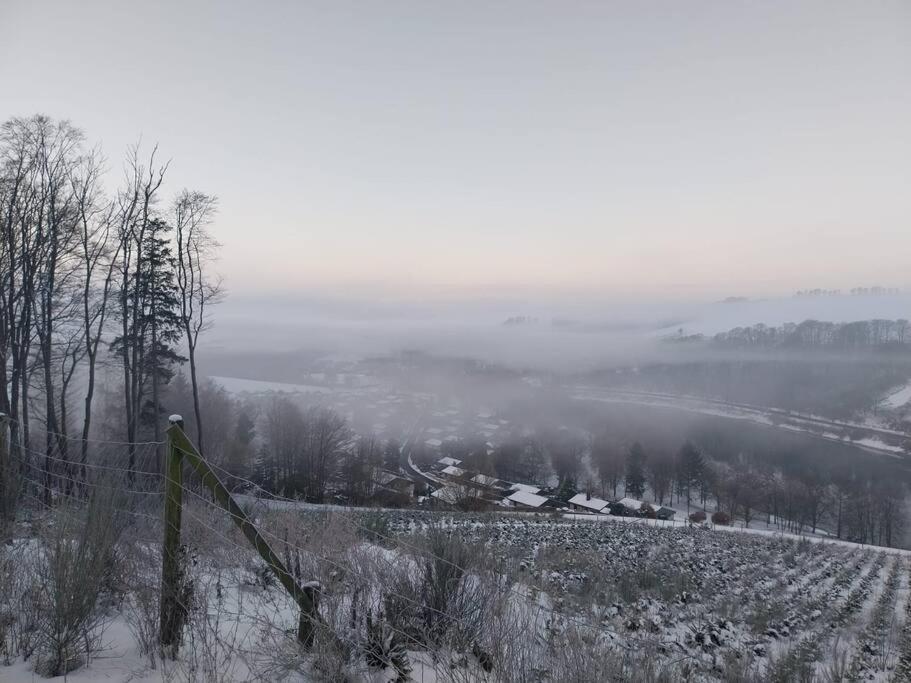 Haus Julia Direkt Am Hennesee Mitten Im Sauerland Meschede Exteriör bild