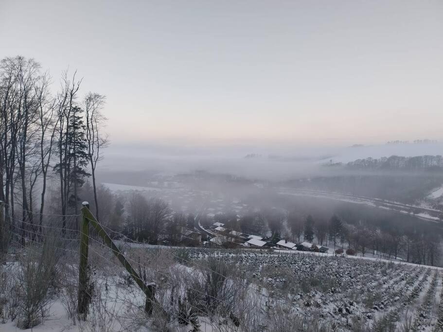 Haus Julia Direkt Am Hennesee Mitten Im Sauerland Villa Meschede Exteriör bild