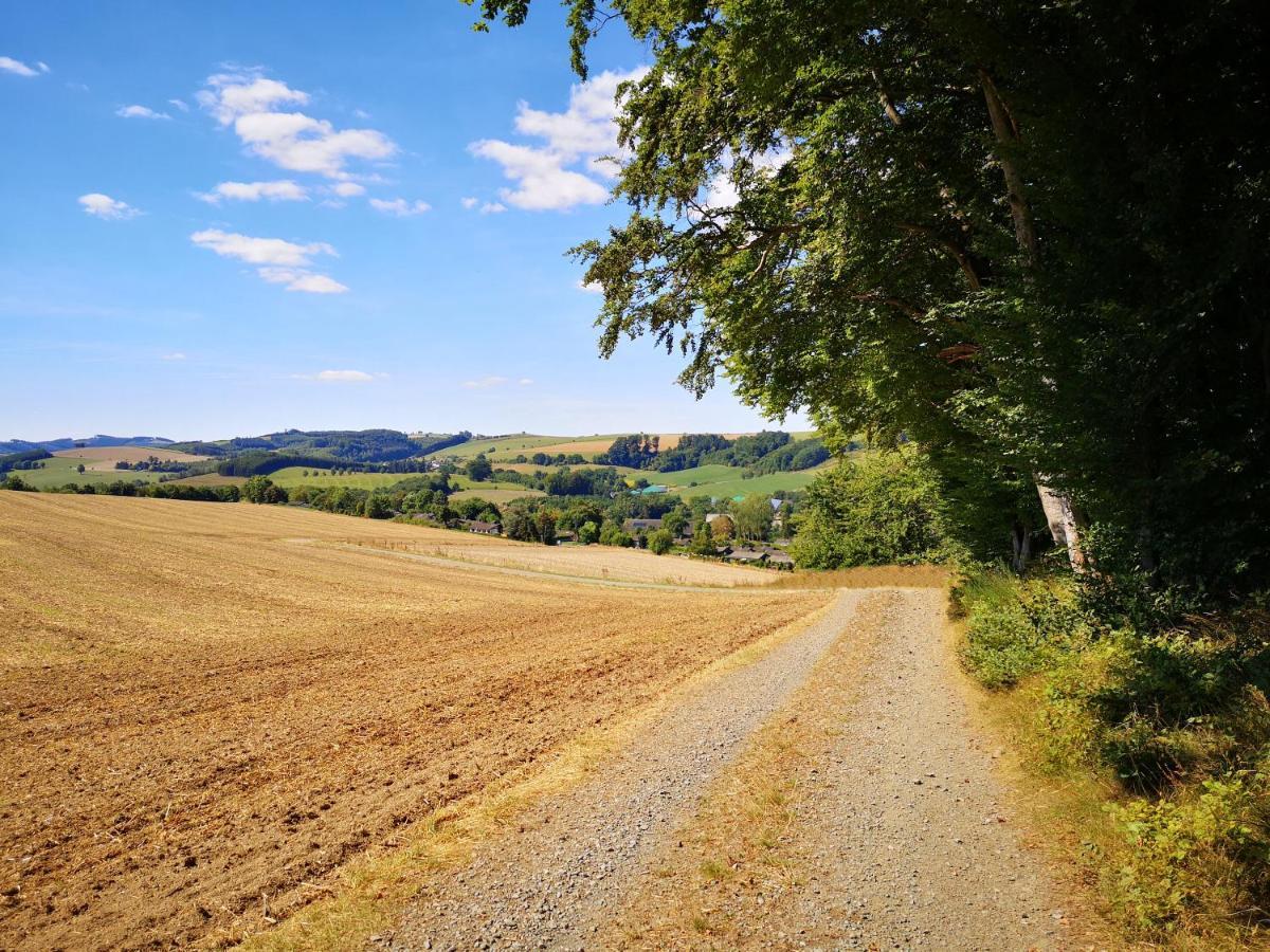 Haus Julia Direkt Am Hennesee Mitten Im Sauerland Meschede Exteriör bild